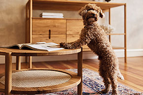 POLA - Kolekcja mebli do sypialni z drewna litego